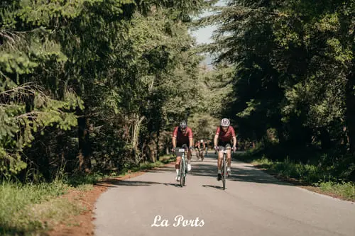 imagen la ports del maresme campo de flores amarillas marcha ciclista